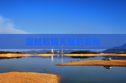 盗贼敏锐天赋的奥秘 盗贼敏锐天赋的奥秘