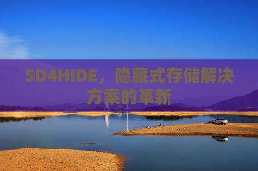 SD4HIDE,隐藏式存储解决方案的革新 SD4HIDE,隐藏式存储解决方案的革新