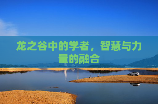 龙之谷中的学者，智慧与力量的融合
