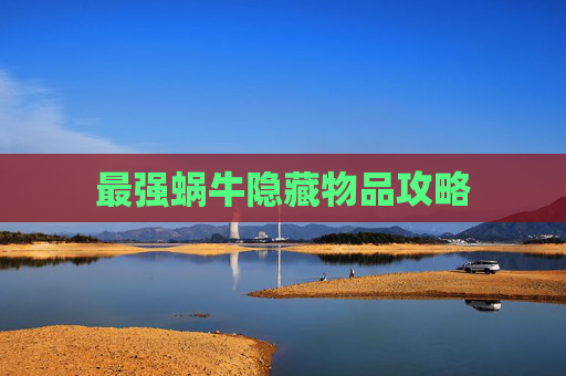最强蜗牛隐藏物品攻略
