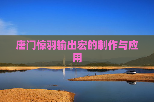 唐门惊羽输出宏的制作与应用
