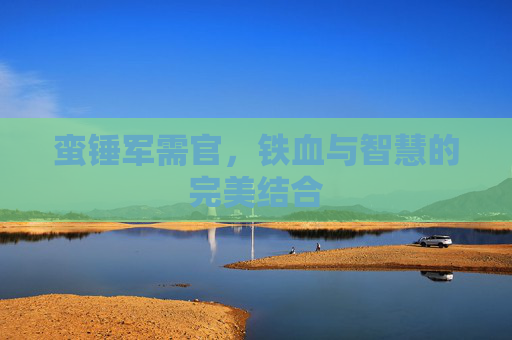 蛮锤军需官,铁血与智慧的完美结合 蛮锤军需官,铁血与智慧的完美结合