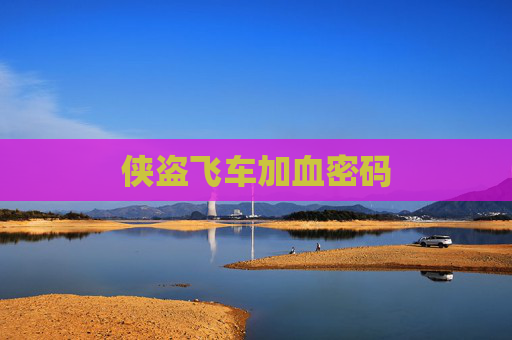 侠盗飞车加血密码