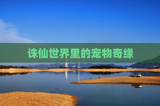 诛仙世界里的宠物奇缘