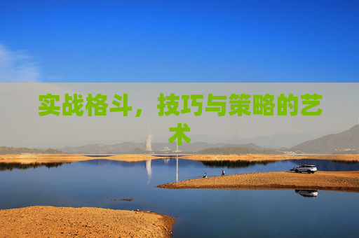 实战格斗，技巧与策略的艺术