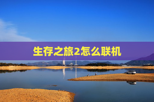 生存之旅2怎么联机
