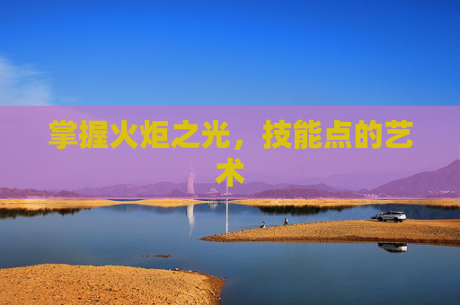 掌握火炬之光，技能点的艺术
