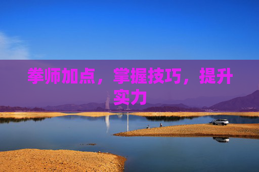 拳师加点，掌握技巧，提升实力