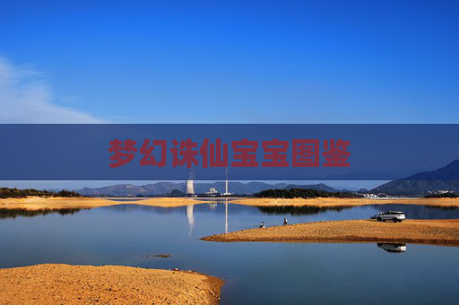 梦幻诛仙宝宝图鉴 梦幻诛仙宝宝图鉴