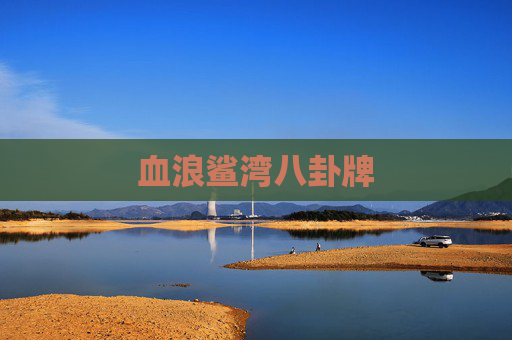 血浪鲨湾八卦牌 血浪鲨湾八卦牌