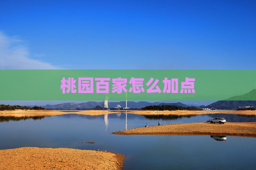 桃园百家怎么加点