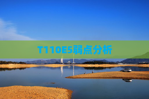 T110E5弱点分析 T110E5弱点分析