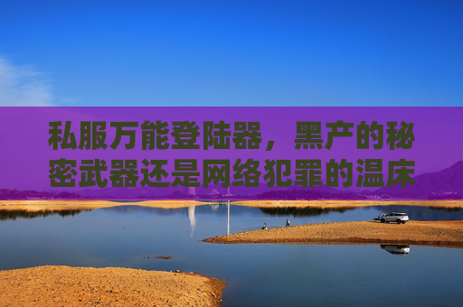 私服万能登陆器，黑产的秘密武器还是网络犯罪的温床？