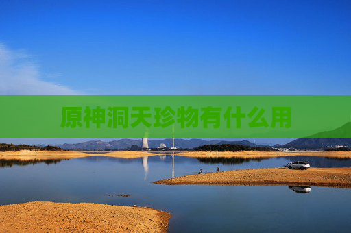 原神洞天珍物有什么用 原神洞天珍物有什么用