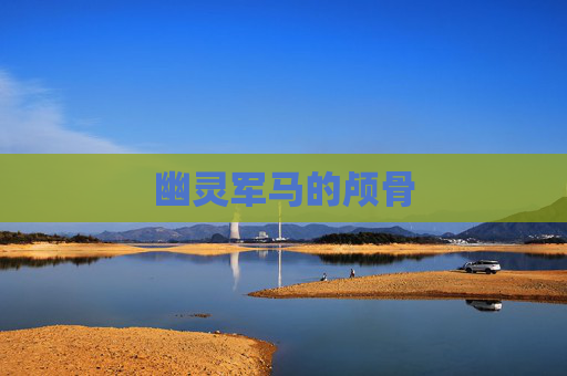 幽灵军马的颅骨