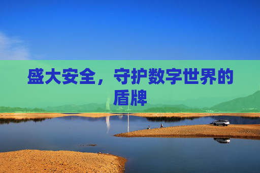 盛大安全，守护数字世界的盾牌