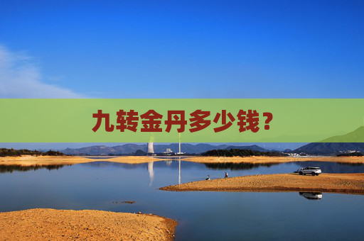 九转金丹多少钱？