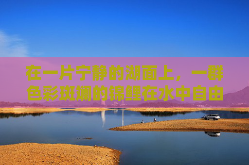 在一片宁静的湖面上,一群色彩斑斓的锦鲤在水中自由地游弋。它们或跃出水面,溅起层层细碎的水花;或潜入水下,与周围的环境融为一体。这是一幅多么和谐的画面啊! 在一片宁静的湖面上,一群色彩斑斓的锦鲤在水中自由地游弋。它们或跃出水面,溅起层层细碎的水花;或潜入水下,与周围的环境融为一体。这是一幅多么和谐的画面啊!