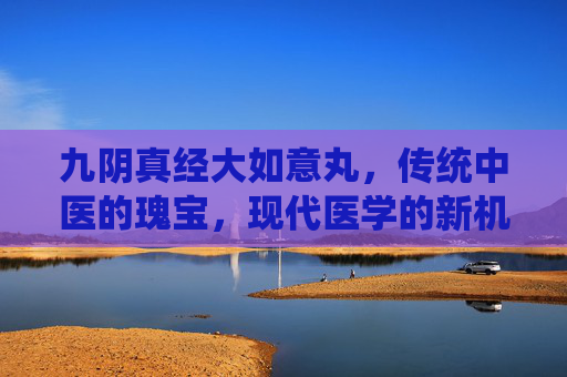 九阴真经大如意丸,传统中医的瑰宝,现代医学的新机遇 九阴真经大如意丸,传统中医的瑰宝,现代医学的新机遇