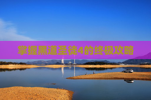 掌握黑道圣徒4的终极攻略 掌握黑道圣徒4的终极攻略