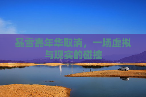 暴雪嘉年华取消，一场虚拟与现实的碰撞