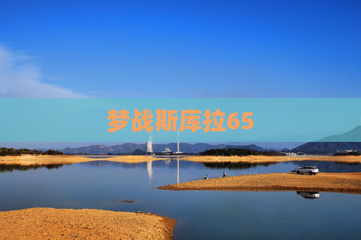梦战斯库拉65