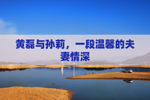 黄磊与孙莉，一段温馨的夫妻情深
