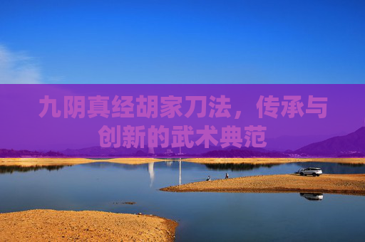九阴真经胡家刀法,传承与创新的武术典范 九阴真经胡家刀法,传承与创新的武术典范