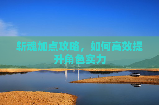 斩魂加点攻略，如何高效提升角色实力