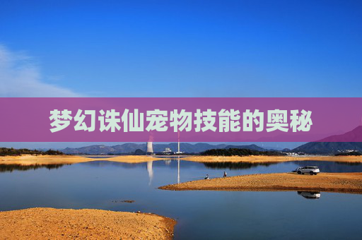 梦幻诛仙宠物技能的奥秘