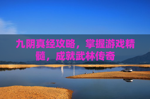 九阴真经攻略，掌握游戏精髓，成就武林传奇