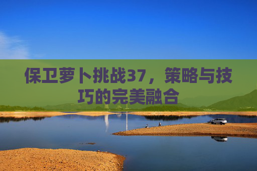 保卫萝卜挑战37,策略与技巧的完美融合 保卫萝卜挑战37,策略与技巧的完美融合