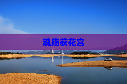 魂殇荻花宫 魂殇荻花宫