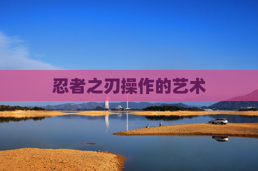 忍者之刃操作的艺术