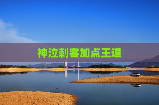 神泣刺客加点王道