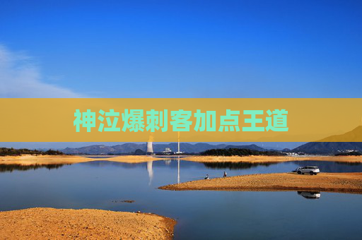 神泣爆刺客加点王道