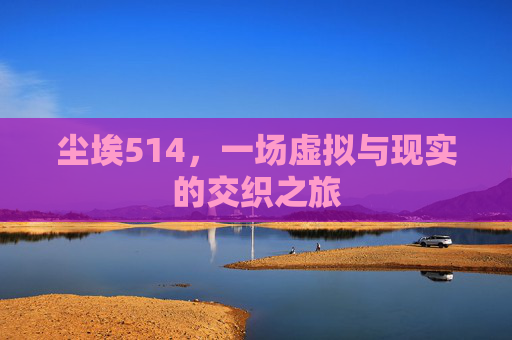 尘埃514,一场虚拟与现实的交织之旅 尘埃514,一场虚拟与现实的交织之旅