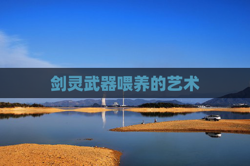 剑灵武器喂养的艺术
