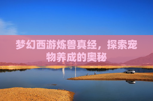 梦幻西游炼兽真经，探索宠物养成的奥秘