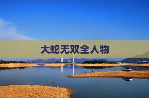 大蛇无双全人物
