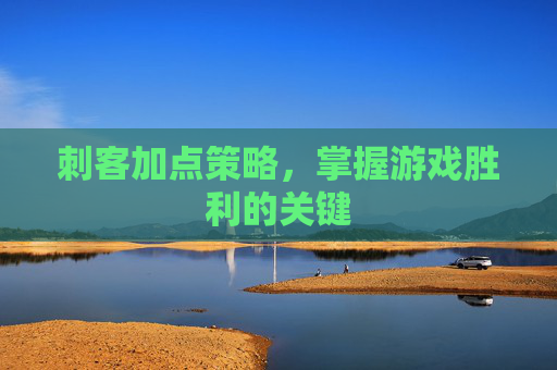 刺客加点策略，掌握游戏胜利的关键