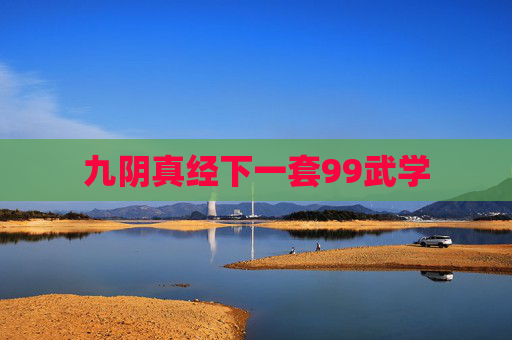 九阴真经下一套99武学