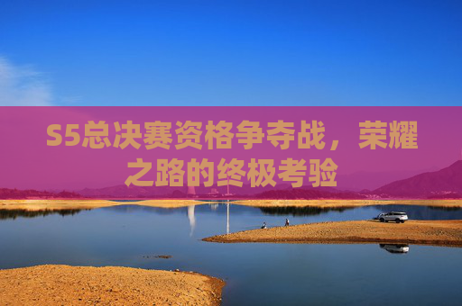 S5总决赛资格争夺战，荣耀之路的终极考验