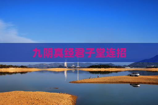 九阴真经君子堂连招