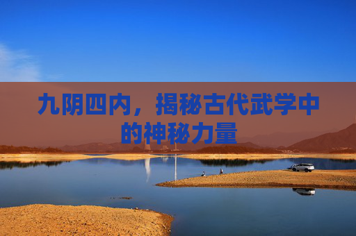 九阴四内，揭秘古代武学中的神秘力量