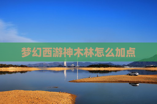 梦幻西游神木林怎么加点 梦幻西游神木林怎么加点