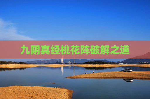 九阴真经桃花阵破解之道