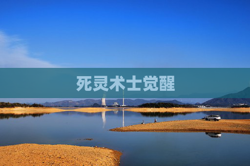 死灵术士觉醒 死灵术士觉醒