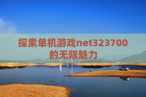 探索单机游戏net323700的无限魅力 探索单机游戏net323700的无限魅力
