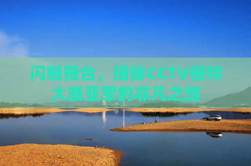 闪耀舞台,揭秘CCTV模特大赛亚军的非凡之路 闪耀舞台,揭秘CCTV模特大赛亚军的非凡之路